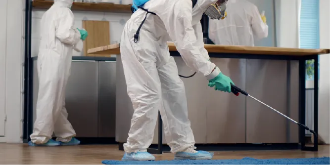 antibacteriano antibacteriano