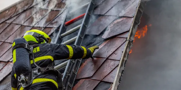 antichamas antichamas